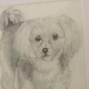 Meet your Posher, Mamie